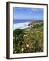 Flowers on Cliff Top, Monte Clerigo, Costa Vincente, Algarve, Portugal-Neale Clarke-Framed Photographic Print