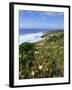 Flowers on Cliff Top, Monte Clerigo, Costa Vincente, Algarve, Portugal-Neale Clarke-Framed Photographic Print