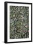 Flowers on Grave-Tim Kahane-Framed Photographic Print