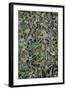 Flowers on Grave-Tim Kahane-Framed Photographic Print