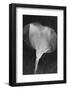 Flowers on Ice BW X-Moises Levy-Framed Photographic Print