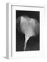 Flowers on Ice BW X-Moises Levy-Framed Photographic Print