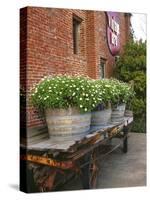 Flowers on Old Baggage Wagon, Vintage 1870 Shops, Napa Valley, California, USA-John Alves-Stretched Canvas