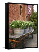 Flowers on Old Baggage Wagon, Vintage 1870 Shops, Napa Valley, California, USA-John Alves-Framed Stretched Canvas