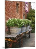 Flowers on Old Baggage Wagon, Vintage 1870 Shops, Napa Valley, California, USA-John Alves-Mounted Premium Photographic Print