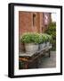 Flowers on Old Baggage Wagon, Vintage 1870 Shops, Napa Valley, California, USA-John Alves-Framed Photographic Print