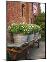 Flowers on Old Baggage Wagon, Vintage 1870 Shops, Napa Valley, California, USA-John Alves-Mounted Photographic Print