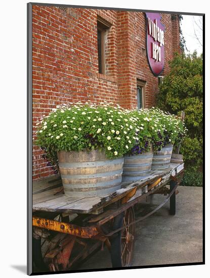 Flowers on Old Baggage Wagon, Vintage 1870 Shops, Napa Valley, California, USA-John Alves-Mounted Photographic Print