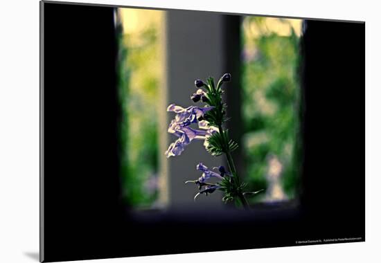 Flowers on the Highline NYC-null-Mounted Poster