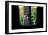 Flowers on the Highline NYC-null-Framed Photo