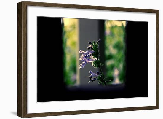 Flowers on the Highline NYC-null-Framed Photo