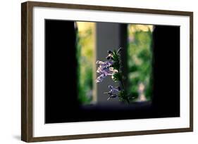 Flowers on the Highline NYC-null-Framed Photo