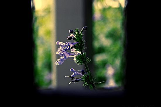 Photo, , large