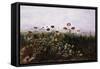 Flowers on the Irish Coast-Andrew Nicholl-Framed Stretched Canvas