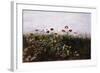 Flowers on the Irish Coast-Andrew Nicholl-Framed Giclee Print