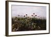 Flowers on the Irish Coast-Andrew Nicholl-Framed Giclee Print