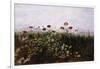 Flowers on the Irish Coast-Andrew Nicholl-Framed Giclee Print