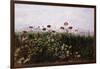 Flowers on the Irish Coast-Andrew Nicholl-Framed Giclee Print