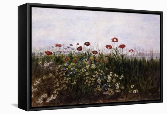 Flowers on the Irish Coast-Andrew Nicholl-Framed Stretched Canvas