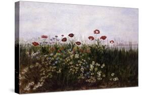 Flowers on the Irish Coast-Andrew Nicholl-Stretched Canvas