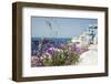 Flowers on the Street of the White City-Olga Gavrilova-Framed Photographic Print