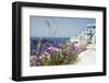 Flowers on the Street of the White City-Olga Gavrilova-Framed Photographic Print