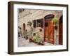 Flowers On The Wall, Tuscany, Italy-Monte Nagler-Framed Photographic Print