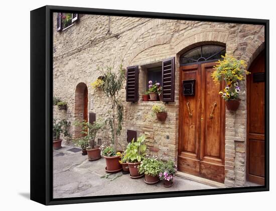 Flowers On The Wall, Tuscany, Italy-Monte Nagler-Framed Stretched Canvas