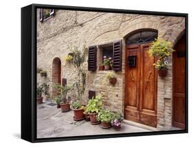 Flowers On The Wall, Tuscany, Italy-Monte Nagler-Framed Stretched Canvas