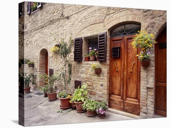 Flowers On The Wall, Tuscany, Italy-Monte Nagler-Stretched Canvas