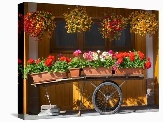 Flowers on Trolley, Arabba, Belluno Province, Trento, Italy, Europe-Frank Fell-Stretched Canvas