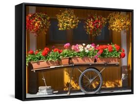 Flowers on Trolley, Arabba, Belluno Province, Trento, Italy, Europe-Frank Fell-Framed Stretched Canvas