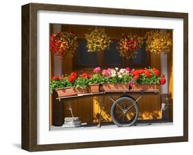 Flowers on Trolley, Arabba, Belluno Province, Trento, Italy, Europe-Frank Fell-Framed Photographic Print