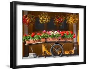 Flowers on Trolley, Arabba, Belluno Province, Trento, Italy, Europe-Frank Fell-Framed Photographic Print