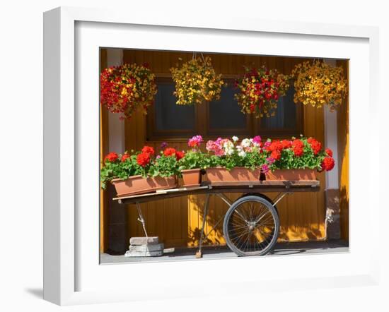 Flowers on Trolley, Arabba, Belluno Province, Trento, Italy, Europe-Frank Fell-Framed Photographic Print