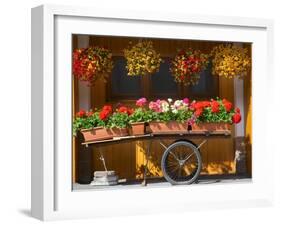 Flowers on Trolley, Arabba, Belluno Province, Trento, Italy, Europe-Frank Fell-Framed Photographic Print