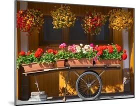Flowers on Trolley, Arabba, Belluno Province, Trento, Italy, Europe-Frank Fell-Mounted Photographic Print