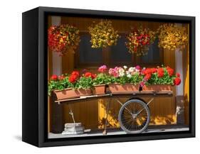 Flowers on Trolley, Arabba, Belluno Province, Trento, Italy, Europe-Frank Fell-Framed Stretched Canvas