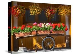 Flowers on Trolley, Arabba, Belluno Province, Trento, Italy, Europe-Frank Fell-Stretched Canvas