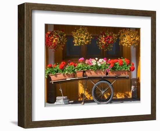 Flowers on Trolley, Arabba, Belluno Province, Trento, Italy, Europe-Frank Fell-Framed Photographic Print