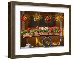 Flowers on Trolley, Arabba, Belluno Province, Trento, Italy, Europe-Frank Fell-Framed Photographic Print