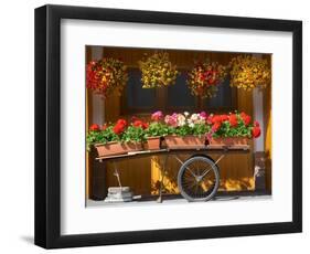 Flowers on Trolley, Arabba, Belluno Province, Trento, Italy, Europe-Frank Fell-Framed Photographic Print