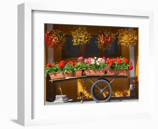 Flowers on Trolley, Arabba, Belluno Province, Trento, Italy, Europe-Frank Fell-Framed Photographic Print