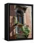 Flowers on Villa Balcony, Venice, Italy-Lisa S^ Engelbrecht-Framed Stretched Canvas