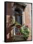 Flowers on Villa Balcony, Venice, Italy-Lisa S^ Engelbrecht-Framed Stretched Canvas