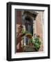 Flowers on Villa Balcony, Venice, Italy-Lisa S^ Engelbrecht-Framed Premium Photographic Print