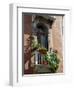 Flowers on Villa Balcony, Venice, Italy-Lisa S^ Engelbrecht-Framed Premium Photographic Print