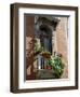 Flowers on Villa Balcony, Venice, Italy-Lisa S^ Engelbrecht-Framed Photographic Print