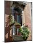 Flowers on Villa Balcony, Venice, Italy-Lisa S^ Engelbrecht-Mounted Photographic Print