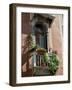 Flowers on Villa Balcony, Venice, Italy-Lisa S^ Engelbrecht-Framed Photographic Print